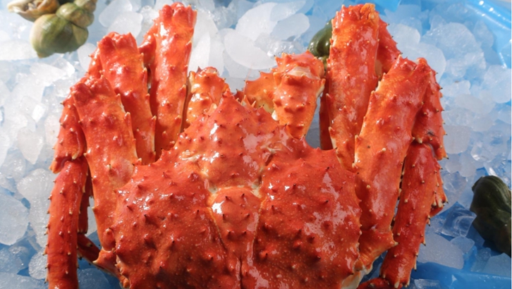 帝王蟹進口清關手續