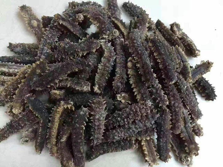 印尼海參進(jìn)口清關(guān)公司