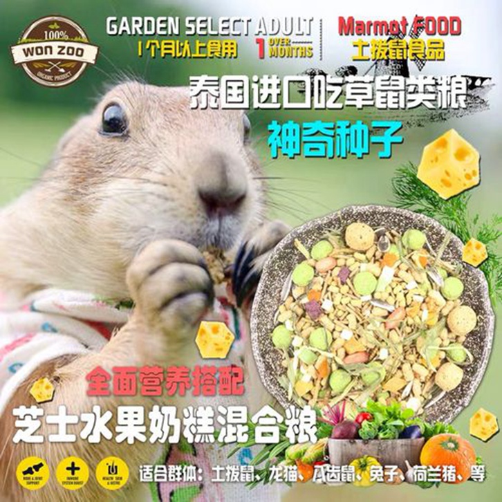 動物飼料進口報關(guān)流程