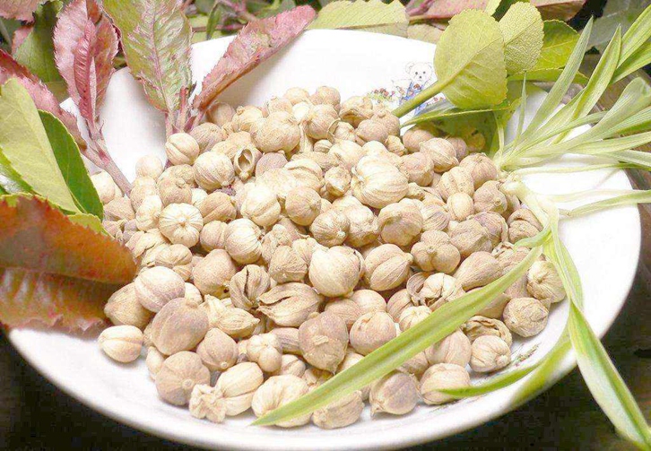 阿拉伯聯合酋長國豆蔻進口報關