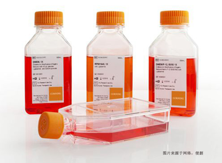 德國(guó)細(xì)胞培養(yǎng)試劑進(jìn)口報(bào)關(guān)資料