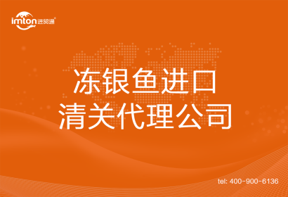 凍銀魚進口清關代理公司