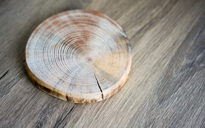 大連橡膠木進口報關(guān)代理服務(wù)