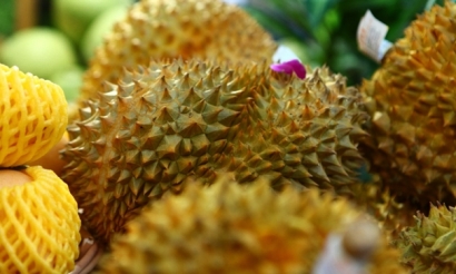 泰國進(jìn)口榴蓮清關(guān)公司_榴蓮報關(guān)公司