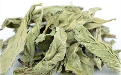 干薄荷葉進(jìn)口報(bào)關(guān)的流程是怎樣的？