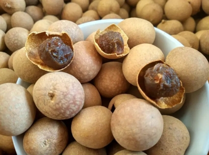 上海龍眼干進(jìn)口報關(guān)公司哪家好-18年清關(guān)經(jīng)驗