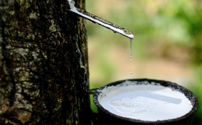 干貨!進口橡膠清關(guān)所需的單證資料以及注意事項