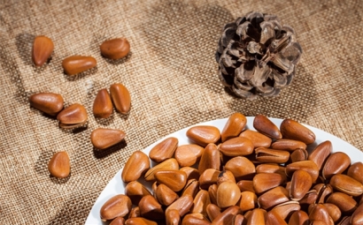 松子進(jìn)口報(bào)關(guān)的操作流程以及時(shí)效是怎樣的呢？