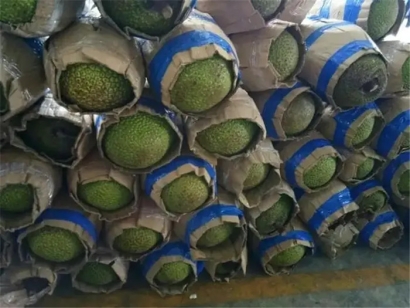 進口越南菠蘿蜜空運報關的流程_進口越南水果準入