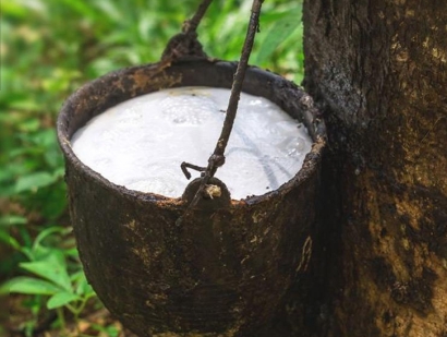 深圳橡膠進口報關流程及天然橡膠進口清關手續