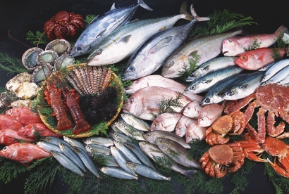 冷凍海鮮進口清關(guān)