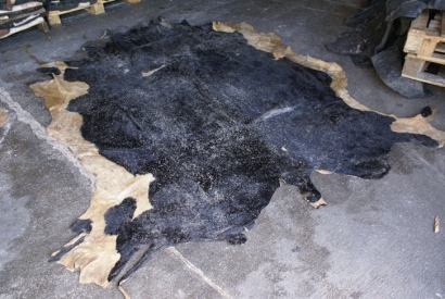 藍(lán)濕牛皮進(jìn)口需要什么資料及藍(lán)濕牛皮報關(guān)流程