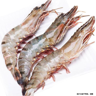 鄭州冷凍食品進口報關清關