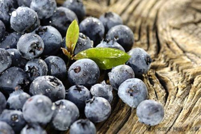 食品進口報關(guān)單證，藍莓濃縮粉怎么進口？