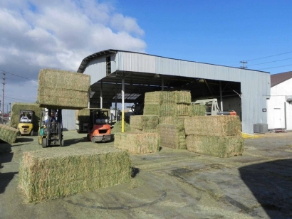 天津苜蓿草進口報關(guān)公司：苜蓿草進口資質(zhì)資料