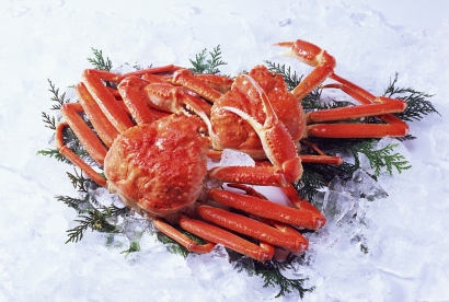 上海帝王蟹進口清關(guān)代理服務(wù)