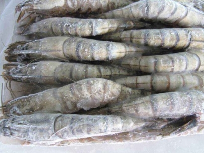 這是一家有著15年海鮮進口報關經驗的代理公司