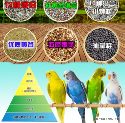 廣州進口加拿大寵物飼料清關(guān)流程代理海運貨代案例