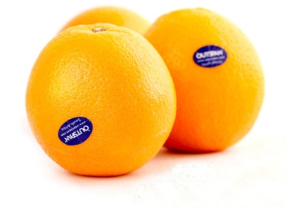 從南非進口鮮橙子水果報關到深圳蛇口清關代理操作案例