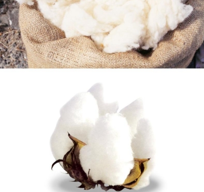 羊毛進(jìn)口清關(guān)要多久_澳大利亞洗凈羊毛報(bào)關(guān)流程