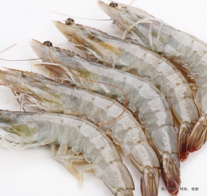 廣州進口印尼冷凍蝦報關(guān)流程及費用-水產(chǎn)品報關(guān)行