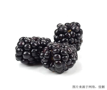 濟(jì)南食品進(jìn)口報關(guān)，伊朗桑葚進(jìn)口怎么報關(guān)？