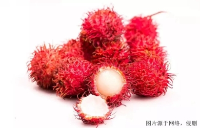 越南紅毛丹水果進口報關流程_廣州新鮮水果清關費