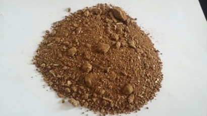 菜籽粕進口清關(guān)可以操作的公司有哪些