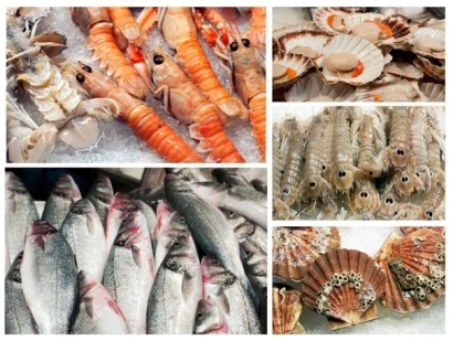 湛江海鮮報關公司哪家好_湛江水產(chǎn)品報關