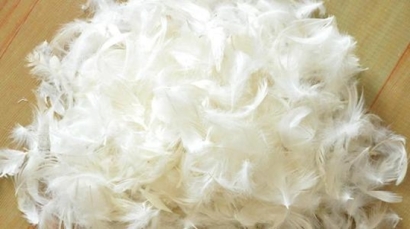 鴨毛進(jìn)口報(bào)關(guān)，給大家普及一下相關(guān)知識(shí)