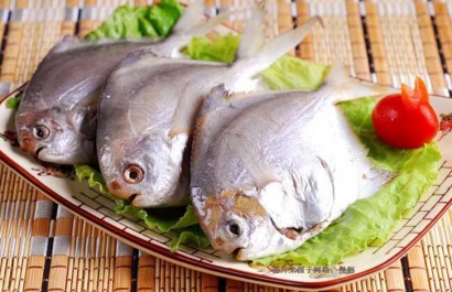 印尼冷凍鯧魚進口報關(guān)流程-廣州水產(chǎn)品報關(guān)行