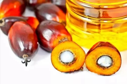 進(jìn)口印尼棕櫚油報關(guān)流程及費(fèi)用門到門-19年食品報關(guān)行