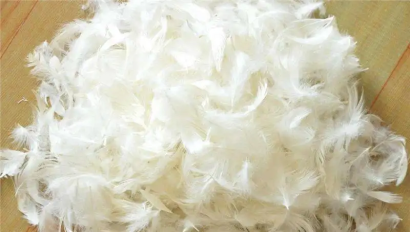 越南到上海外高橋鴨毛進(jìn)口報(bào)關(guān)流程代理案例