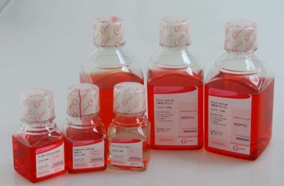 生物原料進口報關(guān)資質(zhì)_生物制品進口清關(guān)流程