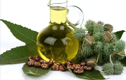 進(jìn)口印度蓖麻油清關(guān)的費(fèi)用_植物油進(jìn)口準(zhǔn)入