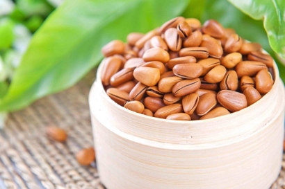 寧波進口松子清關公司有哪些_松子清關