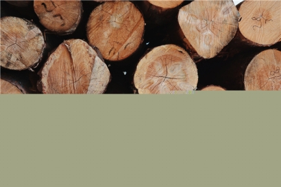 木材進口清關需要注意的內(nèi)容