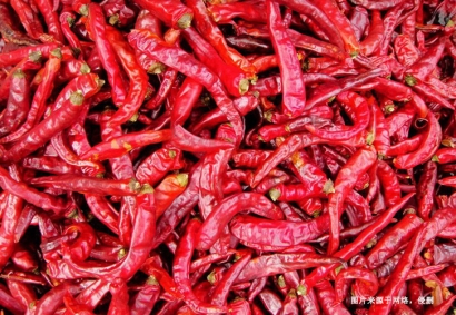 深圳進口印度辣椒干報關資料_辣椒干進口通關要點