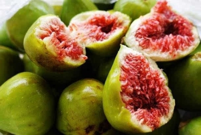 美國無花果進口報關(guān)公司告訴你清關(guān)及檢驗程序