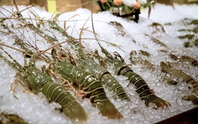 海鮮進口清關(guān)