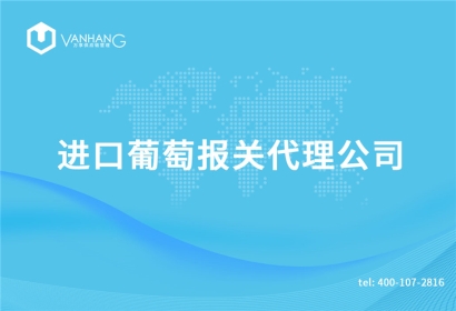 進(jìn)口葡萄報(bào)關(guān)代理公司