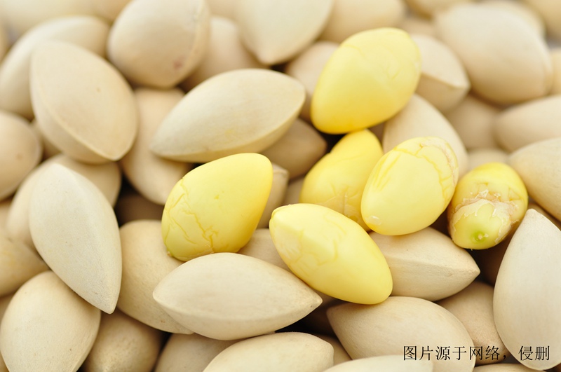 白果進(jìn)口怎么清關(guān)流程？天津堅(jiān)果進(jìn)口代理報(bào)關(guān)公司