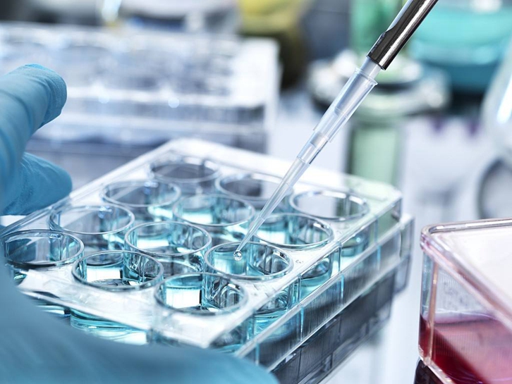 1693986346765563.jpg 青島科研生物細胞進口報關費用及申報注意事項.jpg