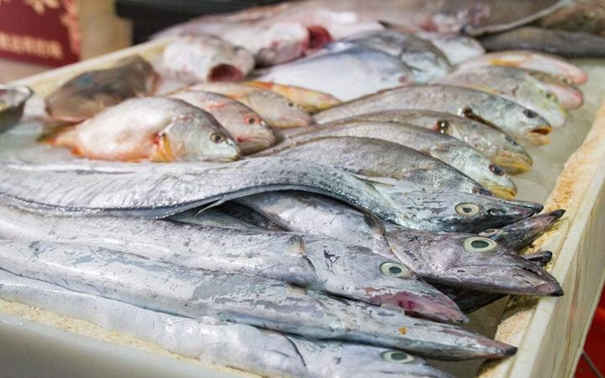 青島進口水產(chǎn)品報關