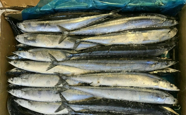 1613728452970962.jpg 進(jìn)口冷凍海鮮清關(guān)代理