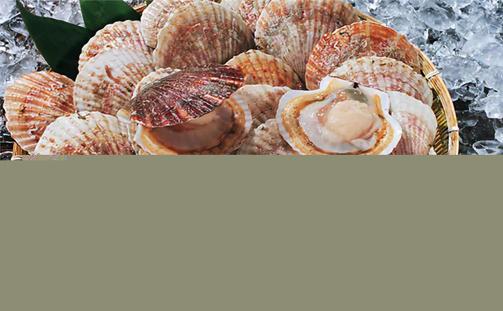 菲律賓扇貝進(jìn)口報(bào)關(guān)