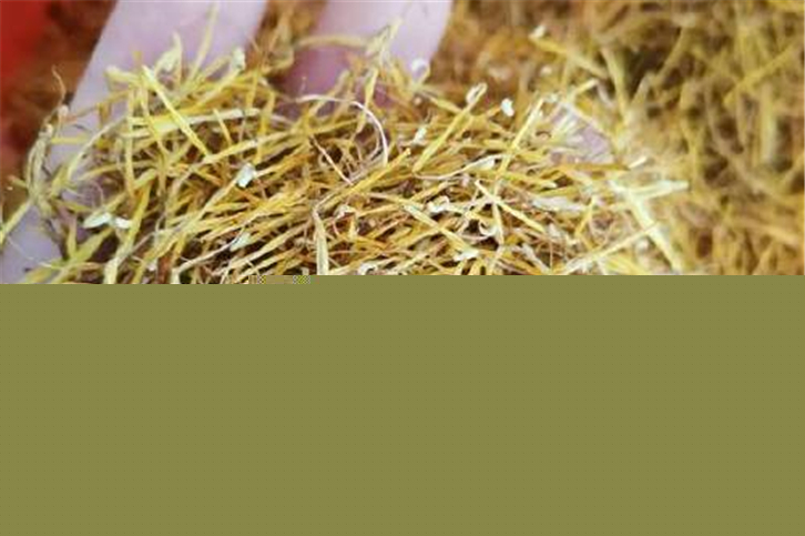 1649843920578252.jpg 中藥材蓮須進口報關.jpg