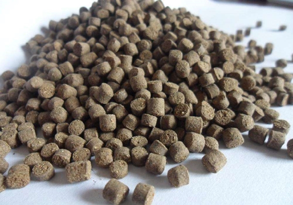 1646041155113253.jpg 代理進口飼料報關_副本.jpg