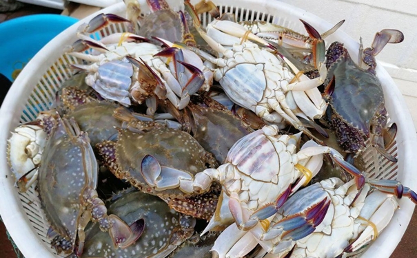 冷凍蟹進(jìn)口報關(guān)一般貿(mào)易流程 冷凍蟹進(jìn)口報關(guān)